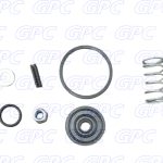 KIT DE REPARACION VALVULA PP-1